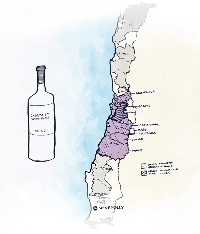 Nơi sản xuất rượu vang Passion Wine of Chile