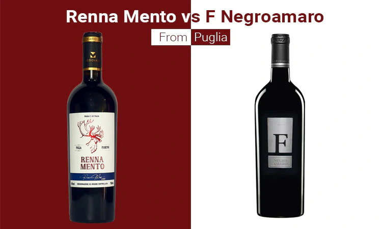 Renna Mento vs F Negroamaro