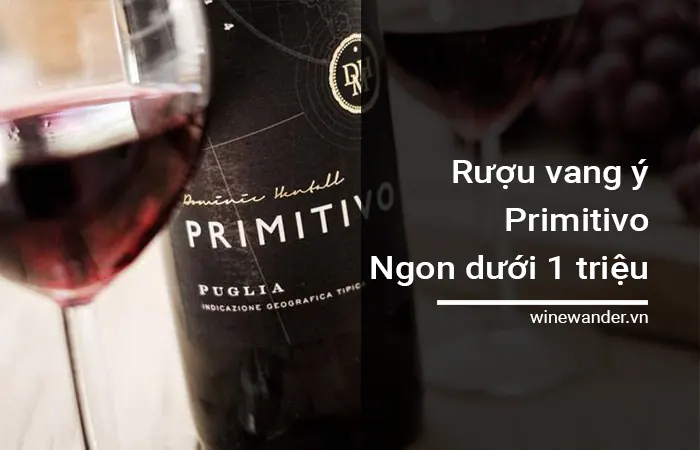 Rượu vang Ý Primitivo ngon giá dưới 1 triệu