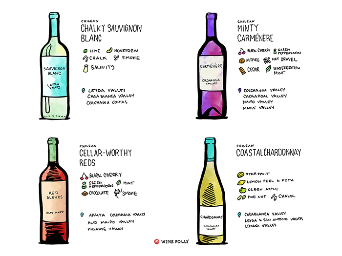 Sự khác biệt của rượu vang chile