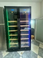 Tủ Rượu Vang 300 Chai Blue Ice 2 Cánh (Đèn LED) - Ảnh 2