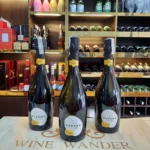 Rượu Vang Sủi Ý Pitars Prosecco Extra Dry DOC - Ảnh 3