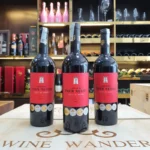 Rượu Vang Pháp Chateau Tour Neuve Côtes de Bourg - Ảnh 2