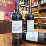 Rượu Vang Chateau Perthus Cotes de Bourg - Ảnh 3