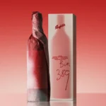 Rượu Vang Úc Penfolds Bin 389 Cabernet Shiraz - Ảnh 3